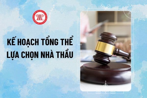 Tổng hợp mẫu lập, thẩm định, phê duyệt kế hoạch tổng thể lựa chọn nhà thầu mới theo Thông tư 22/2024/TT-BKHĐT?