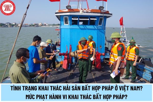 Tình trạng khai thác hải sản bất hợp pháp ở Việt Nam diễn biến ra sao? Mức phạt hành vi khai thác bất hợp pháp là bao nhiêu?