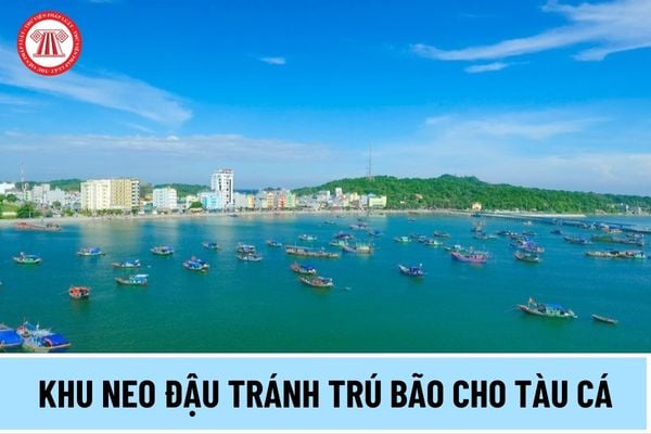 Khu neo đậu tránh trú bão cho tàu cá là gì? Tiêu chí phân loại khu neo đậu tránh trú bão cho tàu cá ra sao?