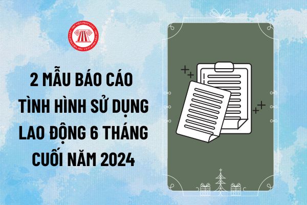 2 mẫu báo cáo tình hình sử dụng lao động 6 tháng cuối năm 2024? Cách điền mẫu báo cáo tình hình sử dụng lao động thế nào?