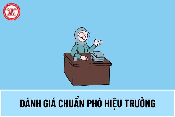 Mẫu phiếu Phó hiệu trưởng tự đánh giá năm 2024 mới nhất? Tiêu chuẩn đánh giá chuẩn Phó hiệu trưởng ra sao?