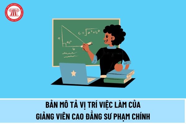 Bản mô tả vị trí việc làm của Giảng viên cao đẳng sư phạm chính (hạng II) như thế nào theo quy định từ ngày 15/5/2024?