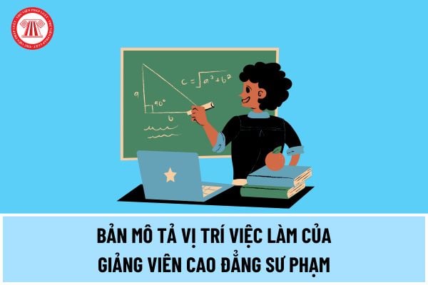 Bản mô tả vị trí việc làm của Giảng viên cao đẳng sư phạm như thế nào theo quy định từ ngày 15/5/2024?