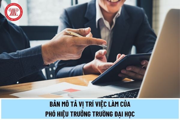 Bản mô tả vị trí việc làm của Phó hiệu trưởng trường đại học như thế nào theo quy định từ ngày 15/5/2024?