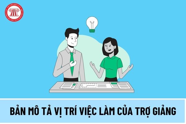 Bản mô tả vị trí việc làm của Trợ giảng như thế nào theo quy định pháp luật từ ngày 15/5/2024?