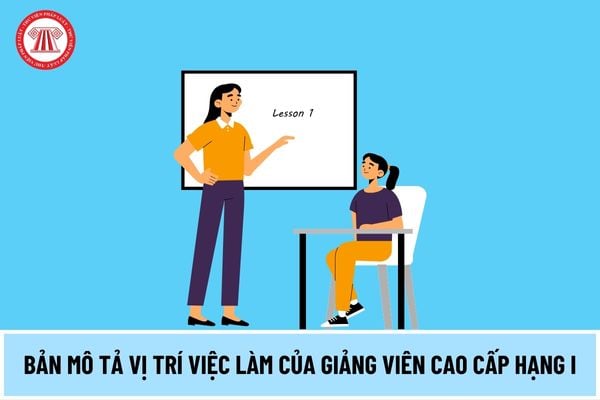 Bản mô tả vị trí việc làm của Giảng viên cao cấp Hạng I như thế nào theo quy định từ ngày 15/5/2024?