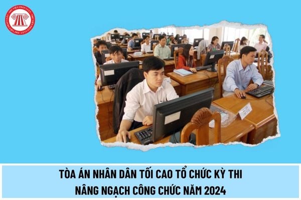 Tòa án Nhân dân Tối cao tổ chức kỳ thi nâng ngạch công chức năm 2024 với nguyên tắc thế nào? 