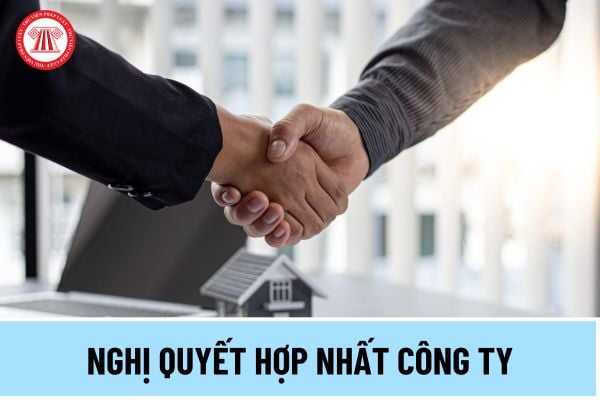 Mẫu Nghị quyết hợp nhất công ty thế nào? Mẫu Nghị quyết HĐTV chuẩn 2024 về hợp nhất công ty ra sao?