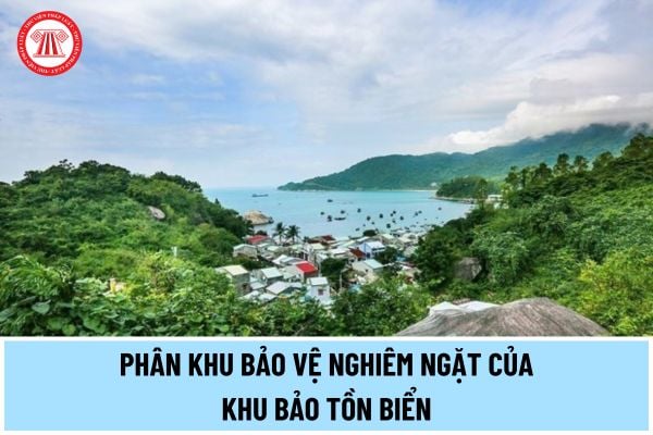 Hoạt động nào được thực hiện trong phân khu bảo vệ nghiêm ngặt của khu bảo tồn biển và vùng đệm?