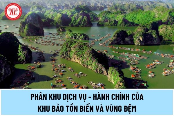 Trong phân khu dịch vụ - hành chính của khu bảo tồn biển và vùng đệm được thực hiện những hoạt động nào?