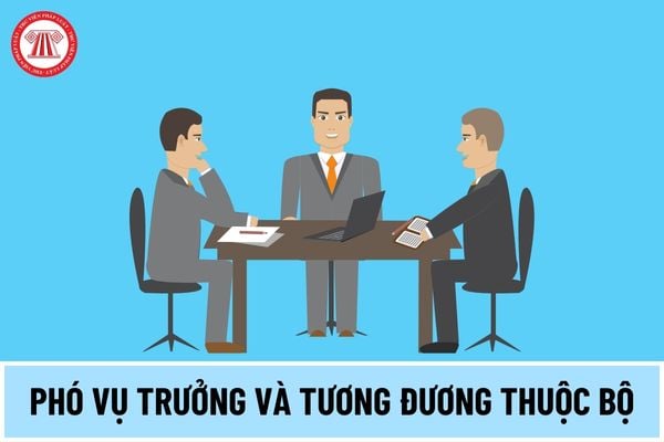 Phó Vụ trưởng và tương đương thuộc Bộ là ai? Tiêu chuẩn bổ nhiệm Phó Vụ trưởng và tương đương thuộc Bộ thế nào?