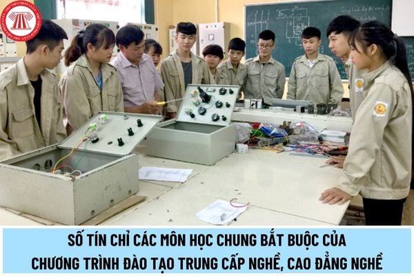 Các môn học chung bắt buộc của chương trình đào tạo trình độ trung cấp nghề, cao đẳng nghề yêu cầu số tín chỉ là bao nhiêu?