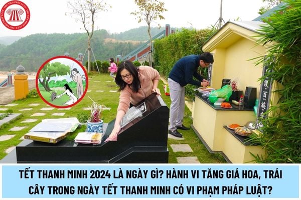 Tết Thanh minh 2024 là ngày gì? Hành vi tăng giá hoa, trái cây trong ngày Tết Thanh minh có vi phạm pháp luật không?