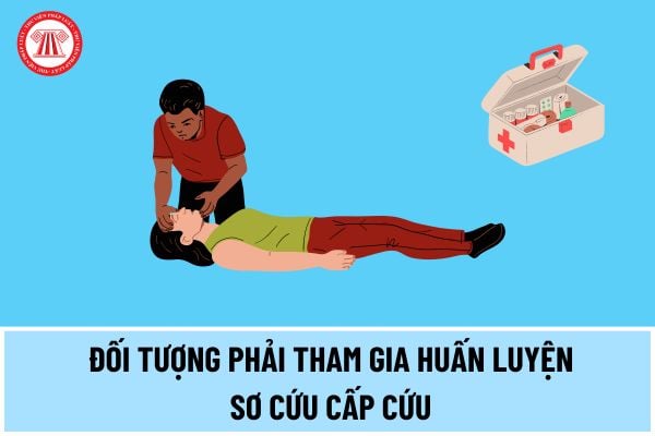 Quy định đối tượng phải tham gia huấn luyện sơ cứu cấp cứu gồm những ai? Hoạt động sơ cứu, cấp cứu phải đáp ứng yêu cầu gì?