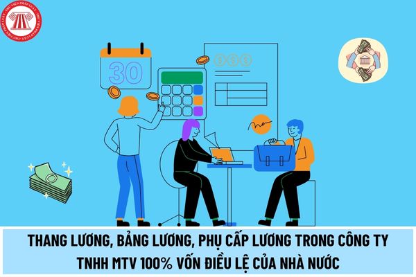 Thang lương, bảng lương, phụ cấp lương trong công ty TNHH MTV 100% vốn điều lệ của Nhà nước phải đáp ứng điều kiện gì?