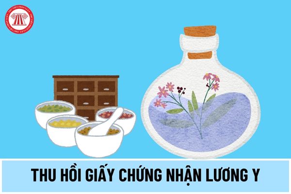 Trường hợp nào bị thu hồi giấy chứng nhận lương y? Trình tự thu hồi giấy chứng nhận được thực hiện thế nào?