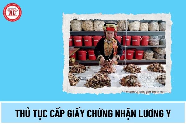 Thủ tục cấp Giấy chứng nhận lương y cho người đã được chứng nhận đủ điều kiện hành nghề nhưng không phải là bác sỹ, y sỹ thế nào?