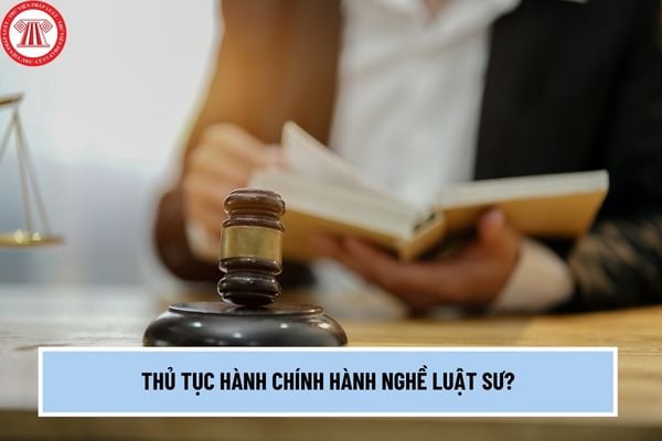 Chính phủ đơn giản hóa thủ tục hành chính đối với ngành nghề 'Luật sư' bằng cách bãi bỏ những quy định gì từ 2024-2025?