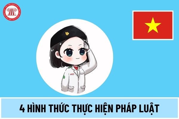 thực hiện pháp luật là