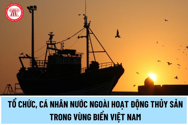Tổ chức, cá nhân nước ngoài hoạt động thủy sản trong vùng biển Việt Nam có thể bị phạt vi phạm hành chính những hành vi nào?