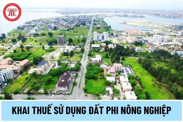 Mẫu 02/TK-SDDPNN tờ khai thuế sử dụng đất phi nông nghiệp áp dụng đối với tổ chức thế nào?