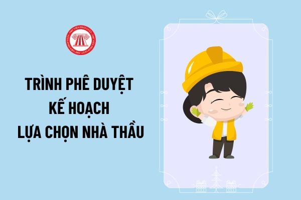 Mẫu tờ trình phê duyệt kế hoạch lựa chọn nhà thầu mới nhất 2024? Mẫu số 02A theo Thông tư 06/2024/TT-BKHĐT thế nào?