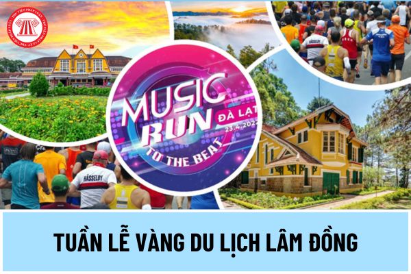 Tuần lễ vàng du lịch Lâm Đồng diễn ra khi nào? Da Lat Music Night Run 2024 có bao nhiêu vận động viên tham gia?