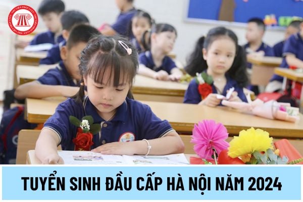 Tuyển sinh đầu cấp Hà Nội vào mầm non, lớp 1, lớp 6 năm 2024 diễn ra vào thời gian nào? Hồ sơ xét tuyển gồm những gì?