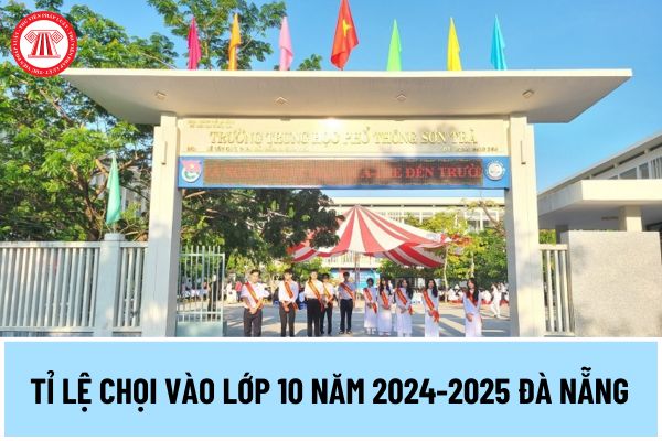 Tỉ lệ chọi vào lớp 10 năm 2024-2025 Đà Nẵng thế nào? Chỉ tiêu tuyển sinh lớp 10 THPT Đà Nẵng phân bổ ra sao?