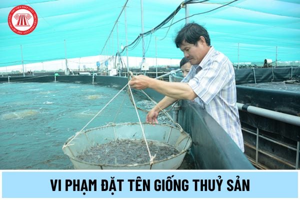 Vi phạm đặt tên giống thuỷ sản thì có cần huỷ bỏ nhãn hàng hóa thể hiện tên giống thuỷ sản không? 