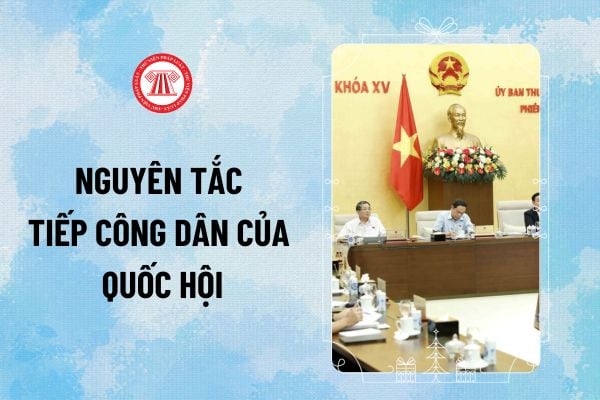 Pháp luật