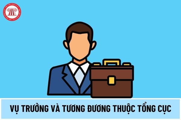 Vụ trưởng và tương đương thuộc Tổng cục là ai? Tiêu chuẩn bổ nhiệm Vụ trưởng và tương đương thuộc Tổng cục thế nào?