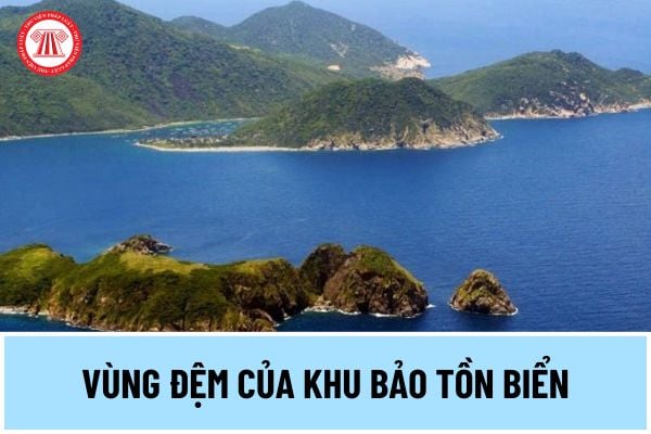 Trong vùng đệm của khu bảo tồn biển được thực hiện những hoạt động nào theo quy định từ ngày 19/5/2024?