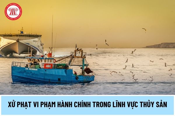 Nghị định 38/2024/NĐ-CP quy định xử phạt vi phạm hành chính trong lĩnh vực thủy sản thế nào?
