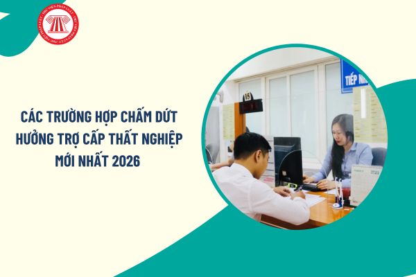 Pháp luật