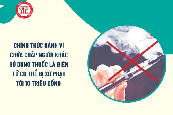 Pháp luật