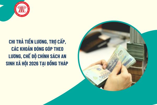 Pháp luật