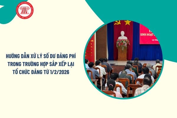 Pháp luật