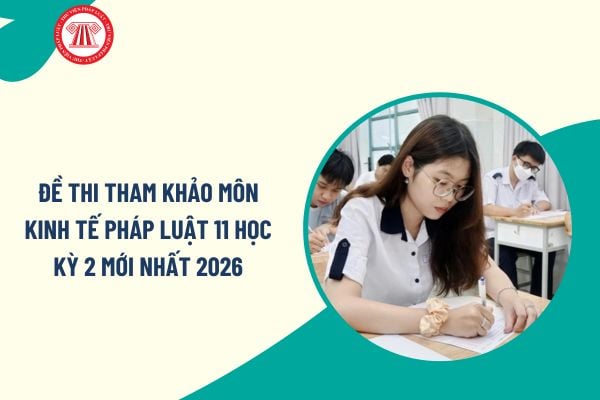 Pháp luật