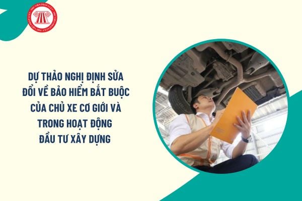 Pháp luật
