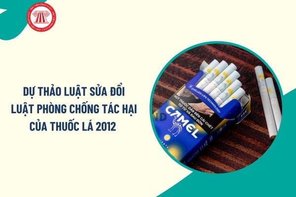Pháp luật