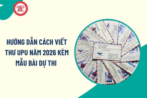 Pháp luật