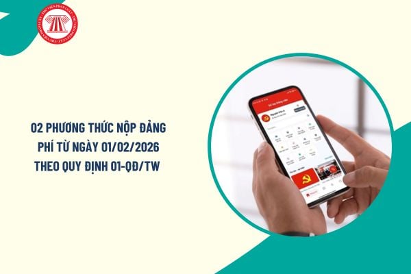 Pháp luật