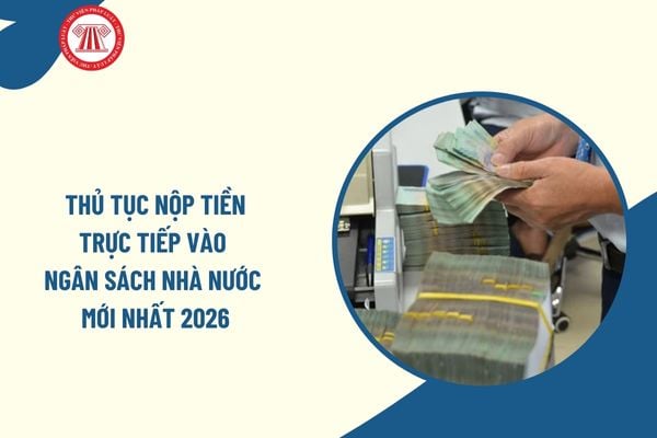 Pháp luật