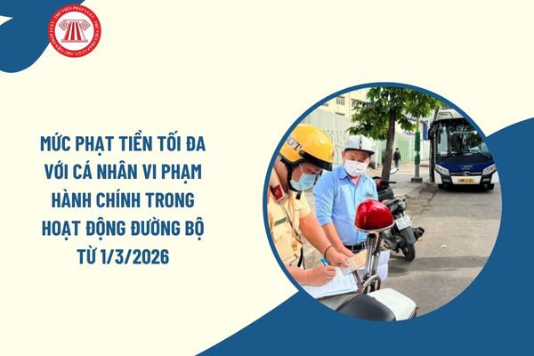 Pháp luật