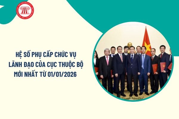 Pháp luật