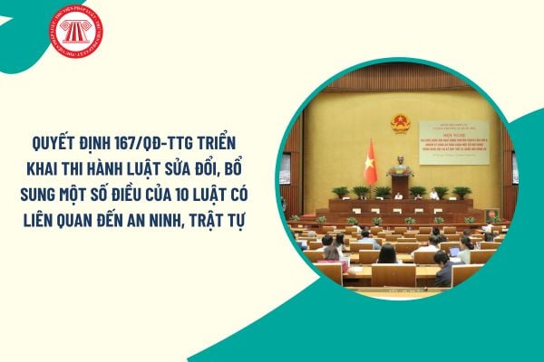 Pháp luật