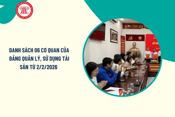 Pháp luật