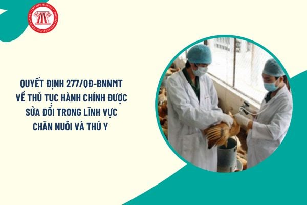 Toàn văn Quyết định 277/QĐ-BNNMT về thủ tục hành chính được sửa đổi trong lĩnh vực chăn nuôi và thú y ra sao?