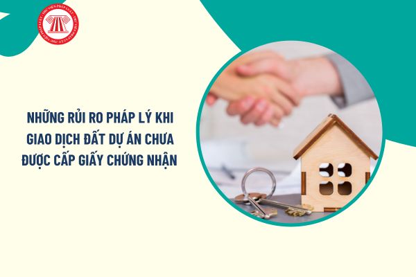 Pháp luật